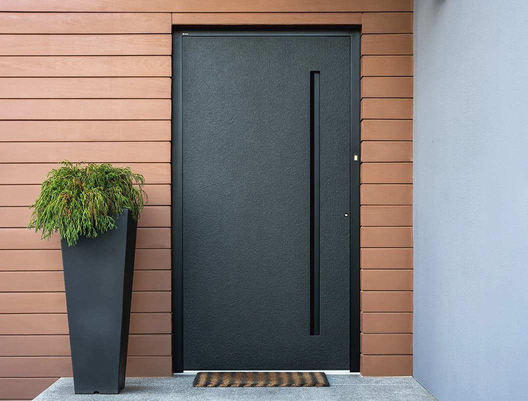 Nowoczesne, ciemne drzwi aluminiowe Exclusive Line z pionowym detalem i wysoką donicą z zieloną rośliną.